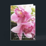 Orchids Personalised Sister Birthday Card<br><div class="desc">Greeting card pink orchids sister birthday card. Customise this birthday card with any text then have it printed and sent to you or instantly download it to your mobile device. Should you require any help with customising then contact us through the link on this page. Floral photography personalised sister birthday...</div>