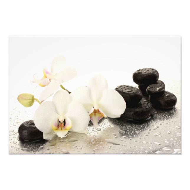 Orchids Photo Print (Front)