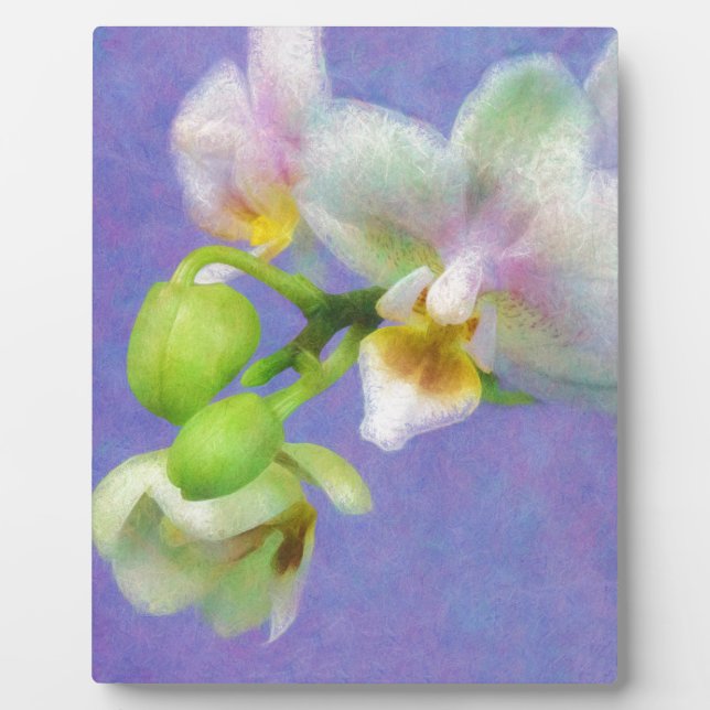 Orchids Plaque (Front)