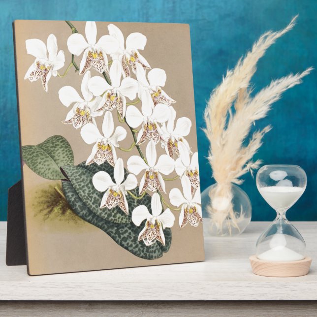 Orchids Plaque (Side)