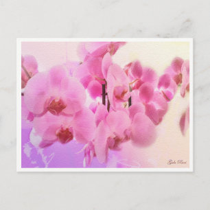 orchids postcard
