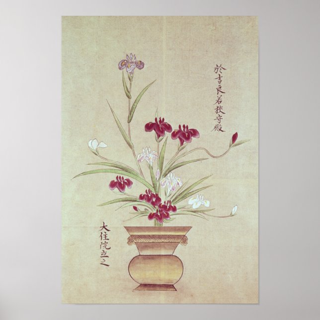 Orchids Poster (Front)