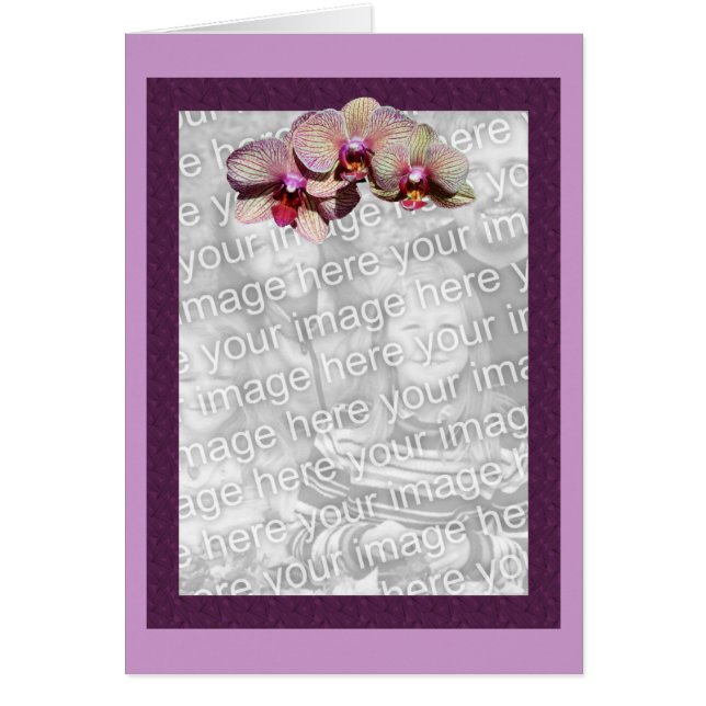 Orchids Purple Floral Photo Card (Front)