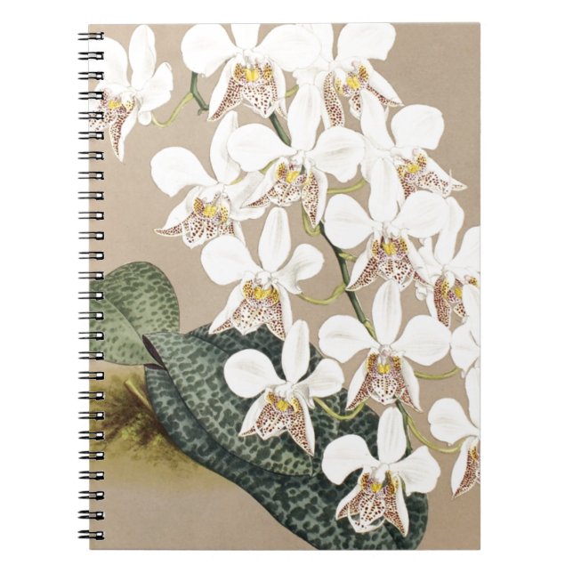Orchids Spiral Notebook (Front)