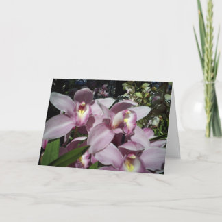 Orchids Thinking of You Card