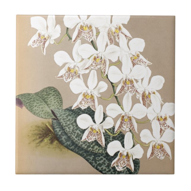Orchids Tile (Front)