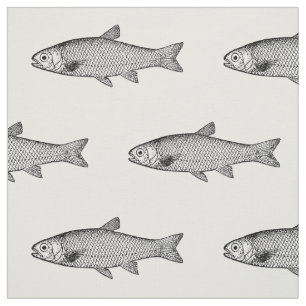 Ordinary Fish, colour background choice Fabric