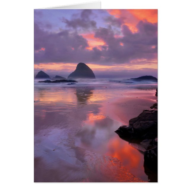 Oregon beach and sea stacks, sunset (Front)