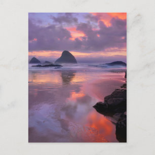 Oregon beach and sea stacks, sunset postcard
