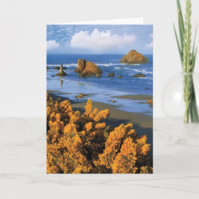 Oregon Beach View In Bandon Card (Front)