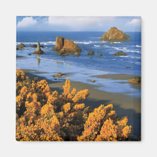 Oregon Beach View In Bandon Magnet
