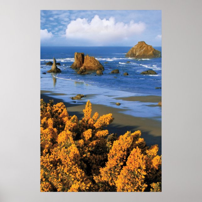 Oregon Beach View In Bandon Poster (Front)