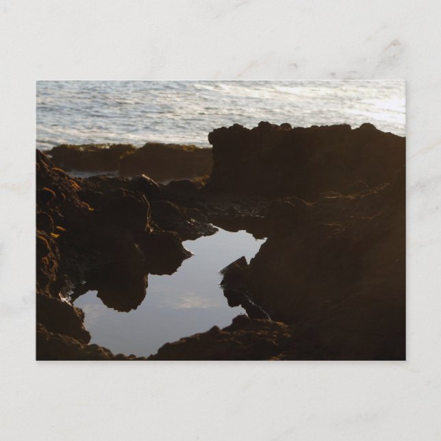 Oregon Coast Cloud Pool Postcard (Front)