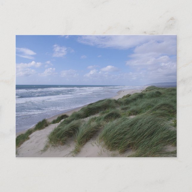 Oregon Coast Postcard (Front)