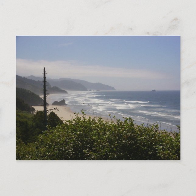 Oregon Coast Postcard (Front)