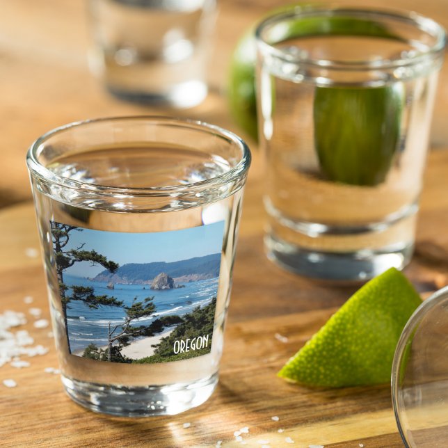 Oregon Coast Scenic Seascape Shot Glass (In Situ)