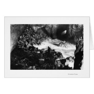 Oregon Coast Sea Lion Caves Interior View