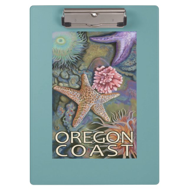 Oregon Coast Tidepool Clipboard (Front)