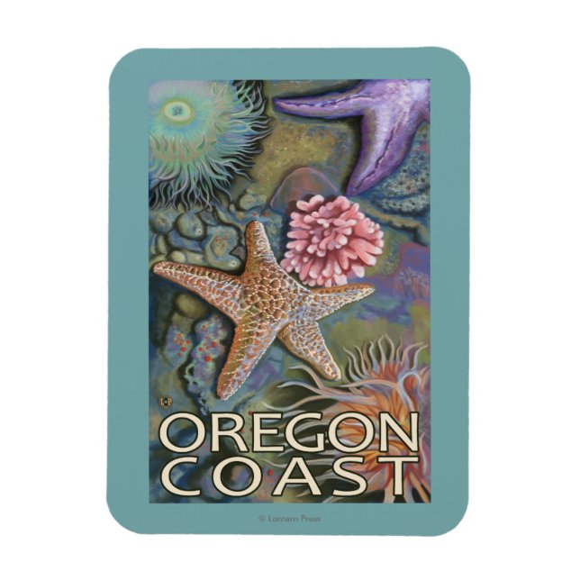 Oregon Coast Tidepool Magnet (Vertical)