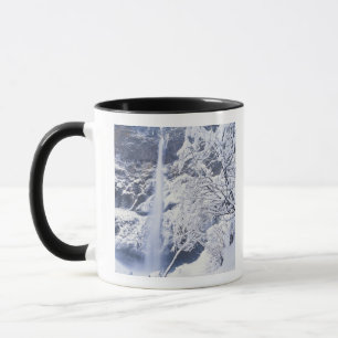 Oregon, Columbia Gorge National Scenics Area, Mug