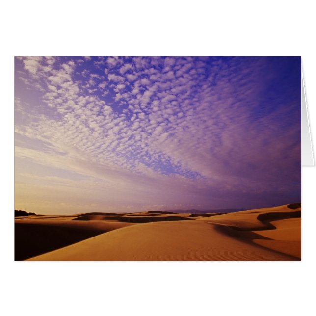 Oregon Dunes National Recreation Area, Oregon (Front Horizontal)