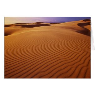 Oregon Dunes National Recreation Area, Oregon at
