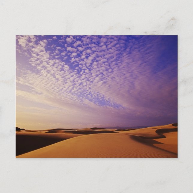 Oregon Dunes National Recreation Area, Oregon Postcard (Front)