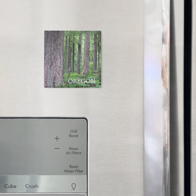 Oregon Evergreen Forest Magnet (In Situ (Fridge))