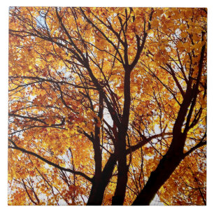 Oregon Fall Leaves Tile