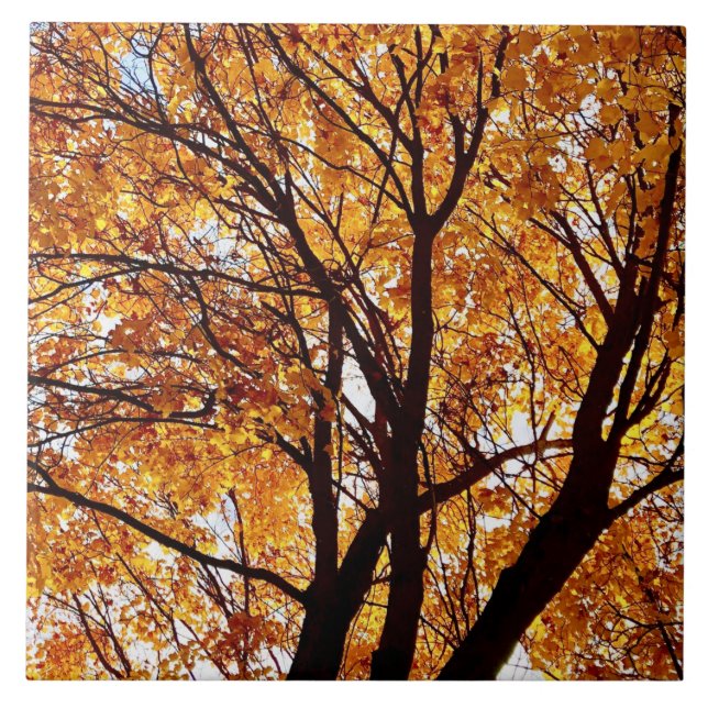 Oregon Fall Leaves Tile (Front)