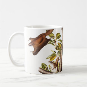 Oregon Flying Squirrel (Pteromys Origonensis) Coffee Mug