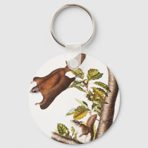 Oregon Flying Squirrel (Pteromys Origonensis) Key Ring