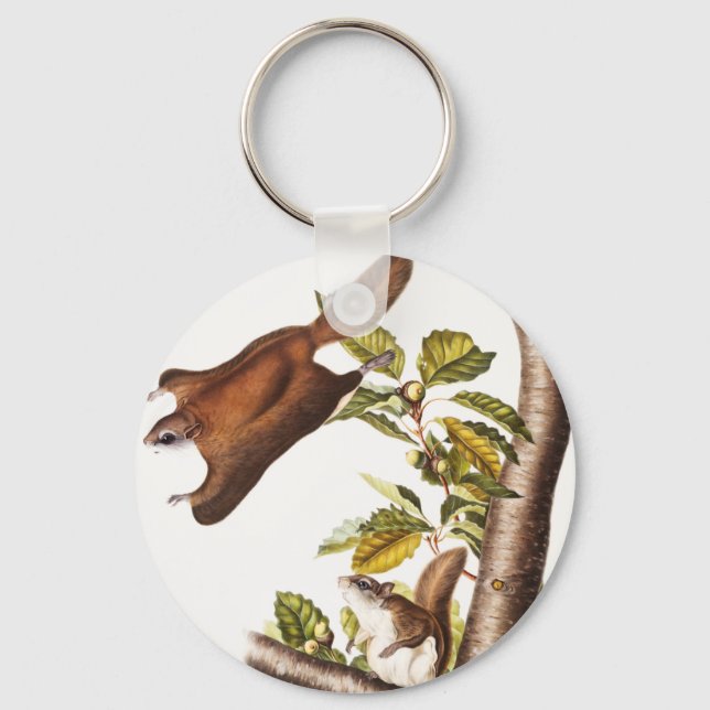Oregon Flying Squirrel (Pteromys Origonensis)  Key Ring (Front)