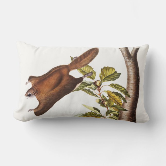 Oregon Flying Squirrel (Pteromys Origonensis) Lumbar Cushion (Front)