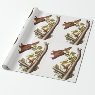 Oregon Flying Squirrel (Pteromys Origonensis) Wrapping Paper