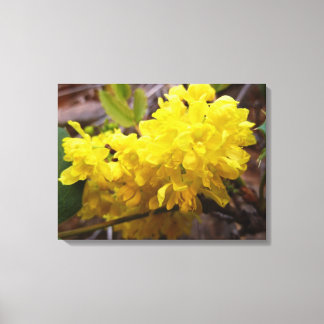 Oregon Grape Flowers Yellow Wildflowers Canvas Print