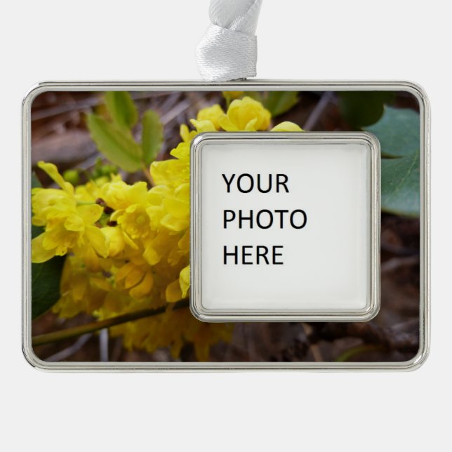 Oregon Grape Flowers Yellow Wildflowers Silver Plated Framed Ornament (Front)
