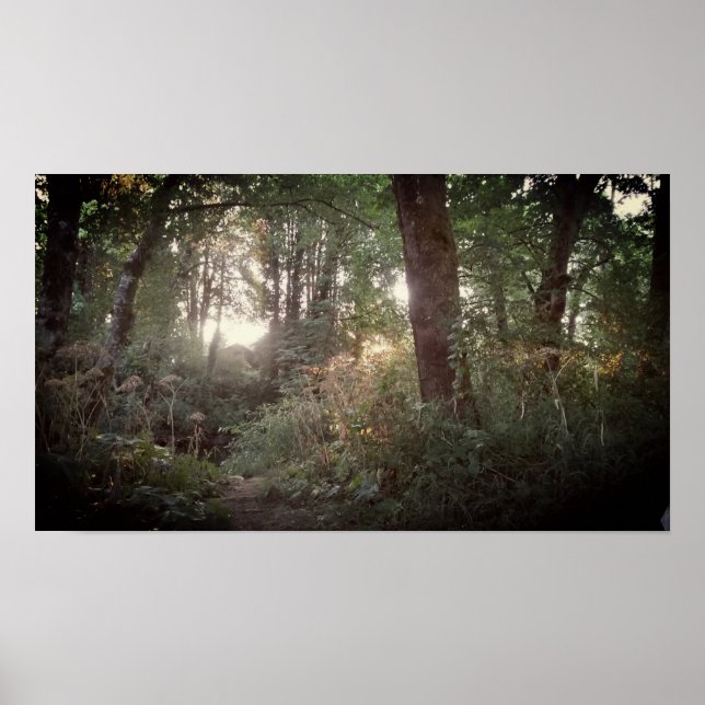 Oregon Magic - Poster (Front)