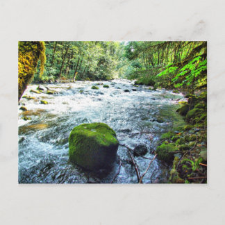 Oregon Postcard