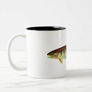 Oregon Redband Trout; Mug