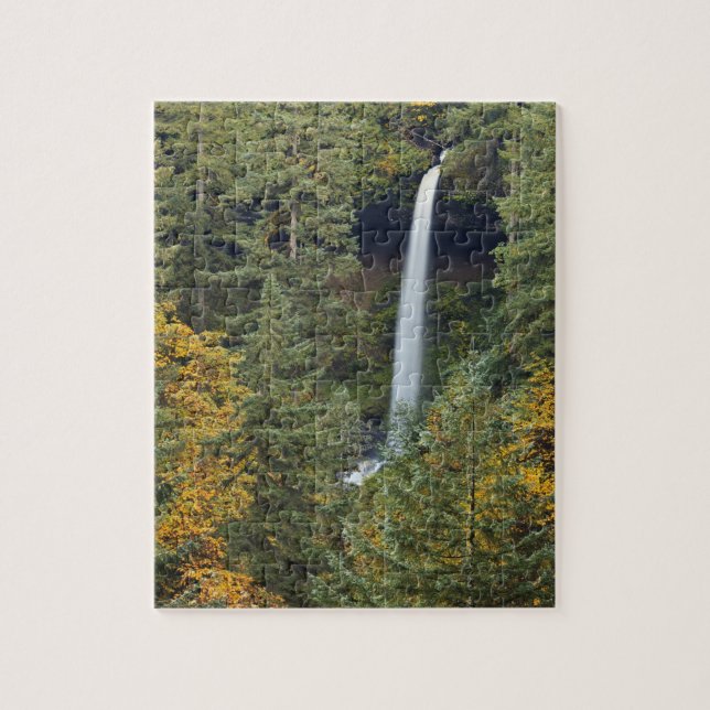 Oregon, Silver Falls State Park, North Falls Jigsaw Puzzle (Vertical)