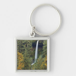 Oregon, Silver Falls State Park, North Falls Key Ring