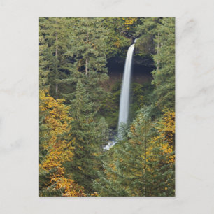 Oregon, Silver Falls State Park, North Falls Postcard