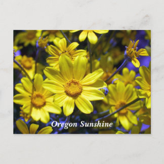 Oregon Sunshine Postcard