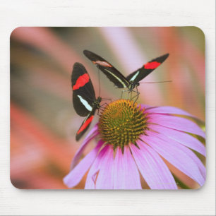 oregon, usa 3 mouse pad