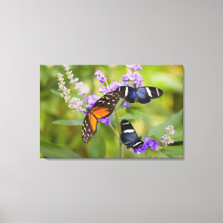 oregon, usa canvas print