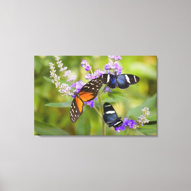 oregon, usa canvas print (Front)