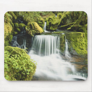 Oregon, Waterfall in Willamette national Mouse Pad