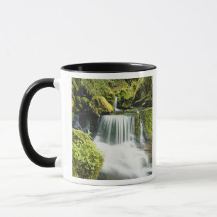 Oregon, Waterfall in Willamette national Mug