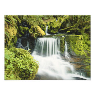 Oregon, Waterfall in Willamette national Photo Print